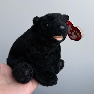 Retired Beanie Babies Vintage ‘Cinders’ Black Bear 2000 Collectible NWT